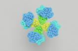 解密DNA：DNA是什么意思及其科学意义